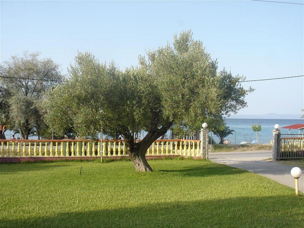Despina Apartment